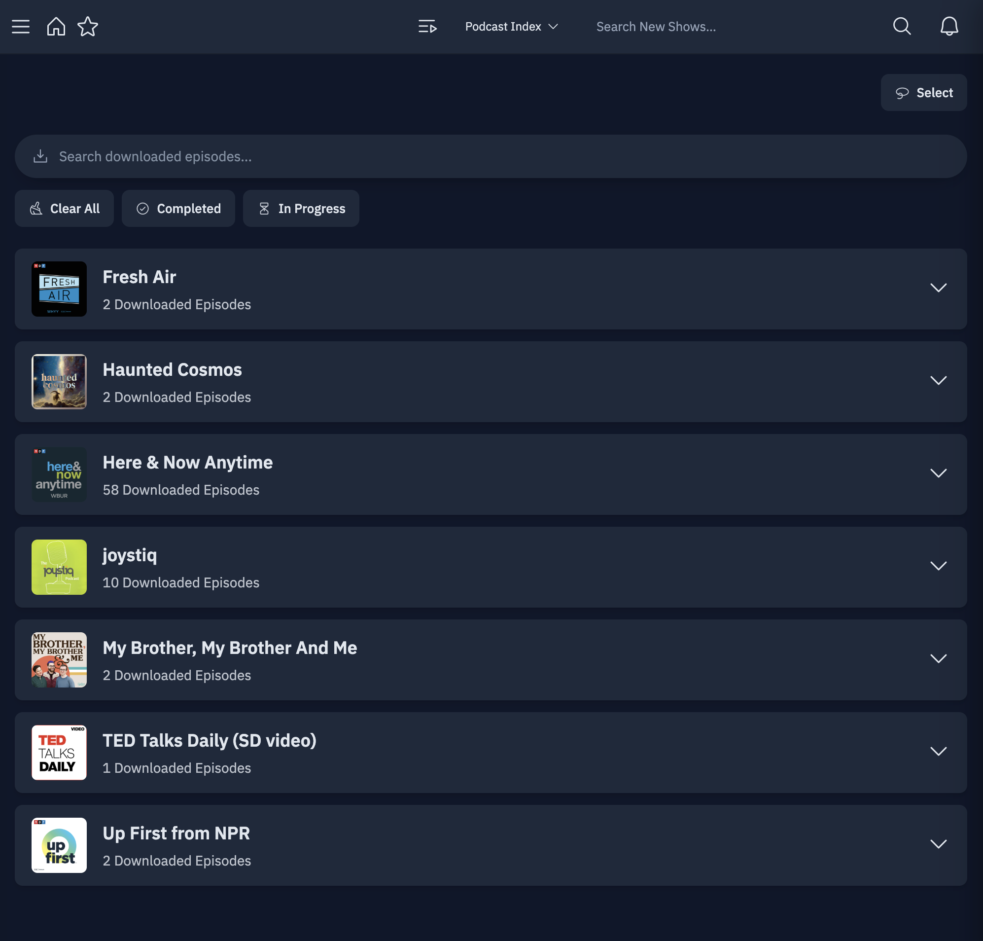 The PinePods downloads page